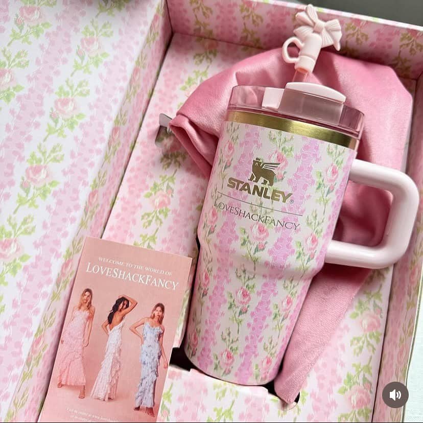 Термокружка Stanley Love Shack Fancy , 20 oz / Бантик голубой 5